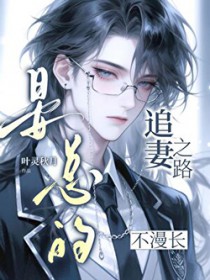 晏总的追妻之路不漫长